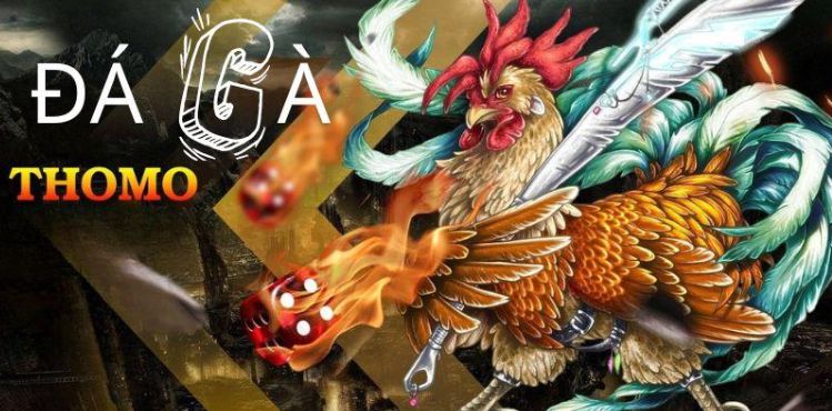 Các sòng bạc trực tuyến được xếp hạng Rikvip cung cấp rất nhiều trò chơi đa dạng - Rikvip